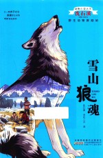雪山狼魂 封面