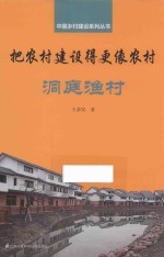 把农村建设得更像农村 封面