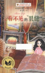 看不见的裂缝 封面