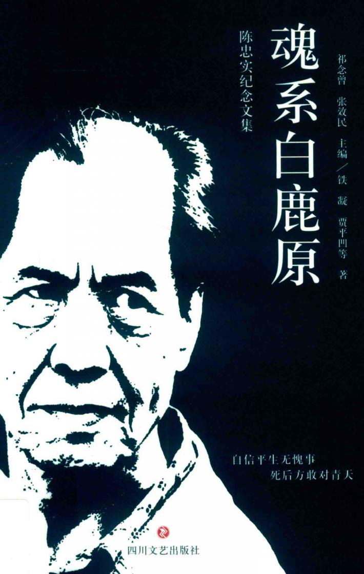 魂系白鹿原 封面