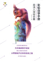 彩铅自学手册  由浅入深综合篇 封面
