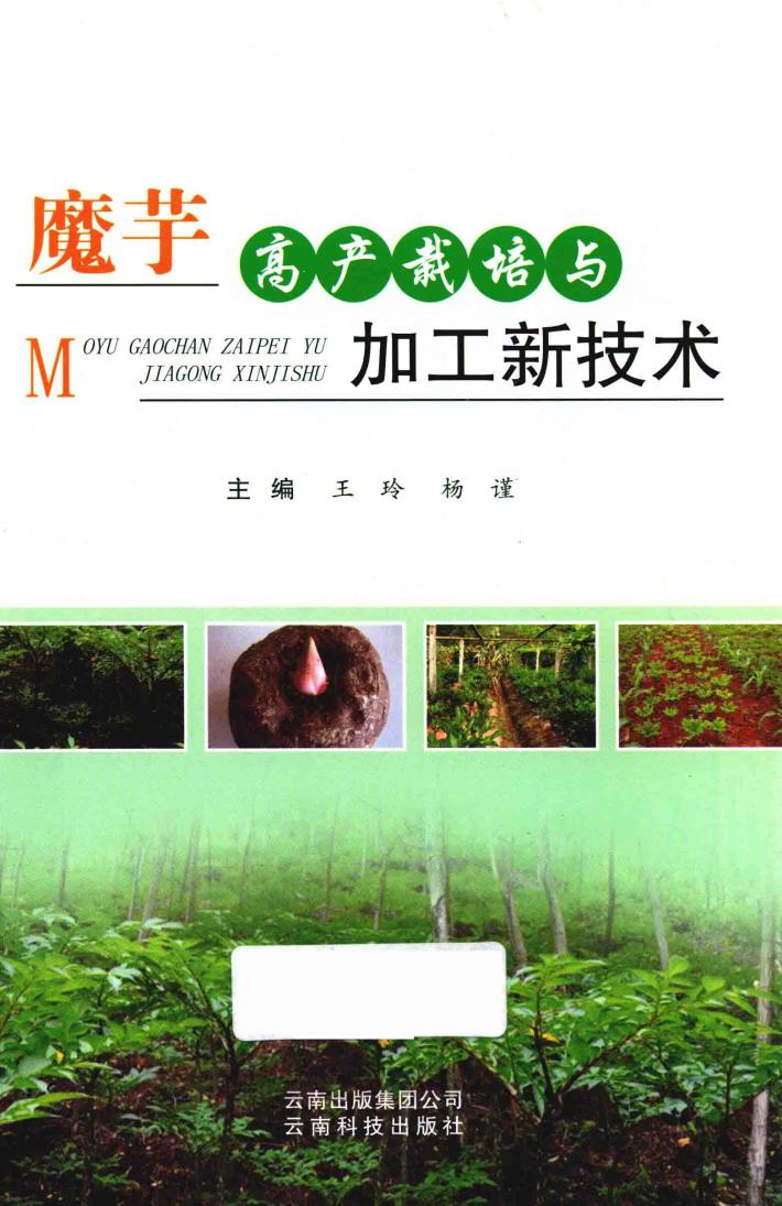 魔芋高产栽培与加工新技术 封面