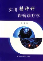实用精神科疾病诊疗学 封面