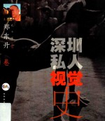 深圳私人视觉史  郑东升卷 封面