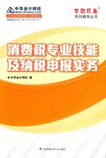 中华会计网校梦想成真系列辅导书  消费税专业技能及纳税申报实务 封面