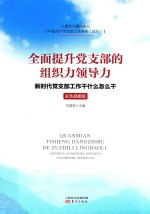 全面提升党支部的组织力领导力  新时代党支部工作干什么怎么干  彩色插图版 封面