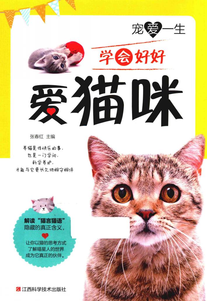 宠爱一生  学会好好爱猫咪 封面