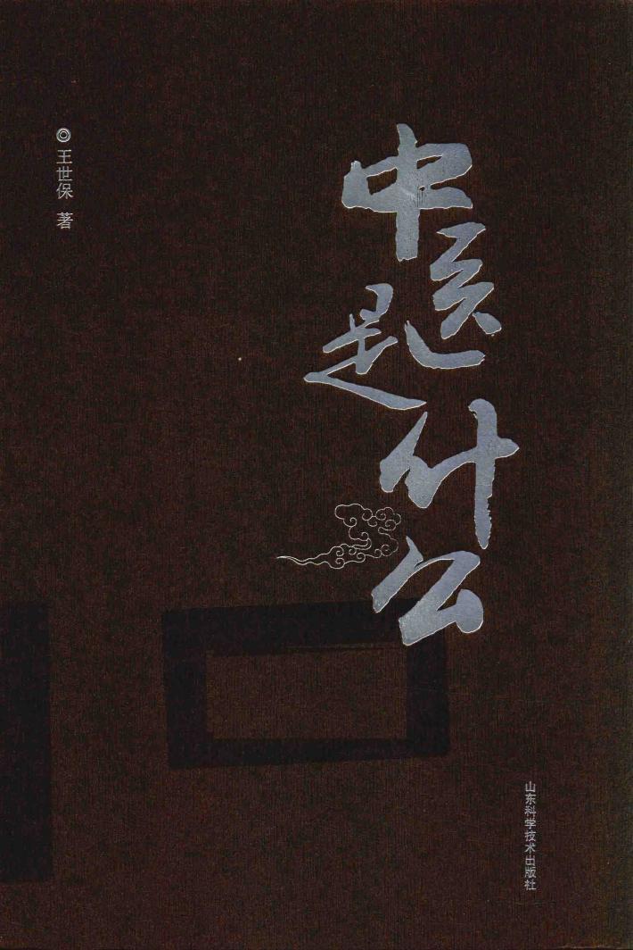 中医是什么 封面