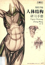 张旺手绘人体结构研习手册 封面
