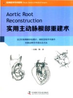 实用主动脉根部重建术 封面