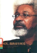 阿凯，我的童年时光 封面