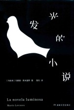 发光的小说 封面