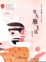 等大雁飞过 封面