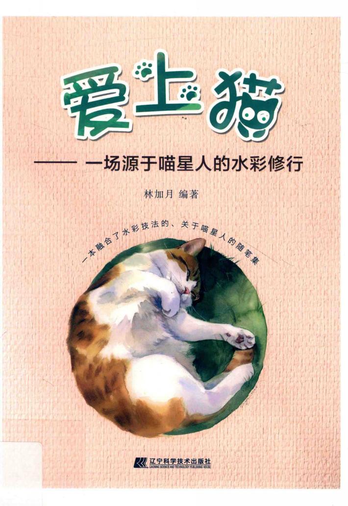 爱上猫 封面