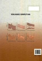 新疆侵入岩 封面