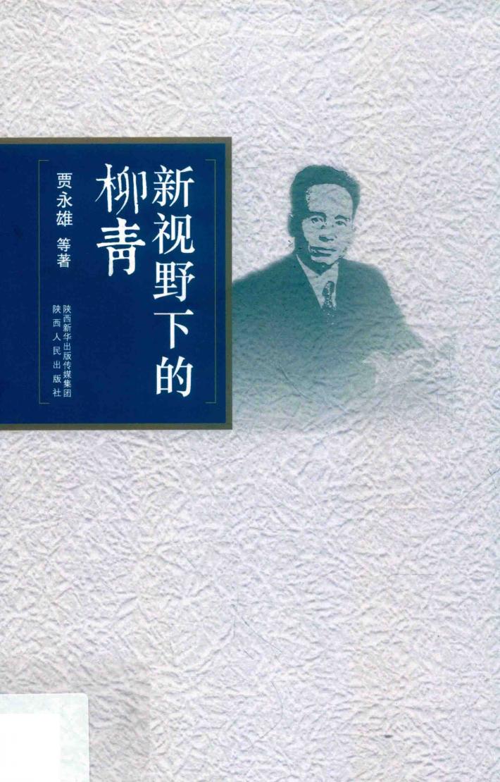 新视野下的柳青 封面