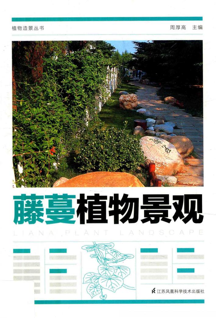 藤蔓植物景观 封面