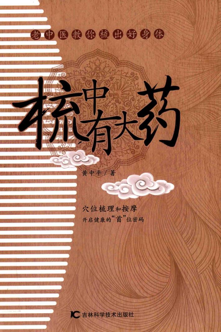 梳中有大药 封面