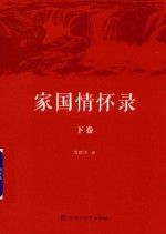家国情怀录  下 封面