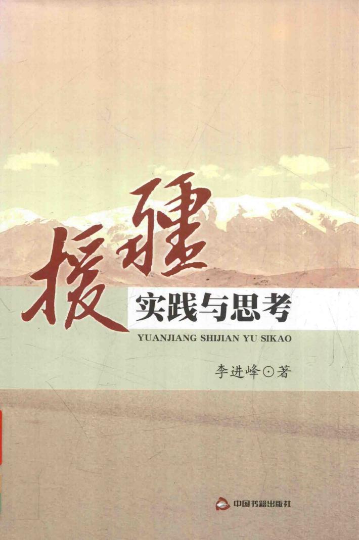 援疆实践与思考 封面