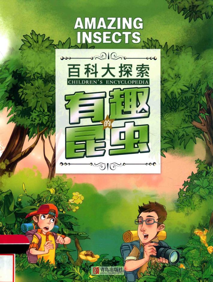 有趣的昆虫 封面