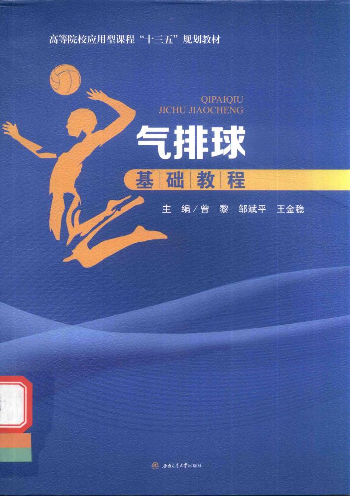 气排球基础教程 封面