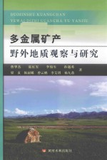 多金属矿产野外地质观察与研究 封面