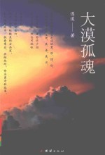 大漠孤魂 封面