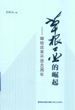 草根工业的崛起 封面