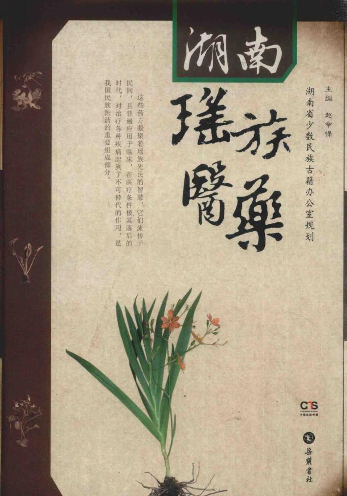湖南瑶族医药 封面