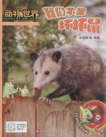 动物世界  我们不是坏坏鼠 封面