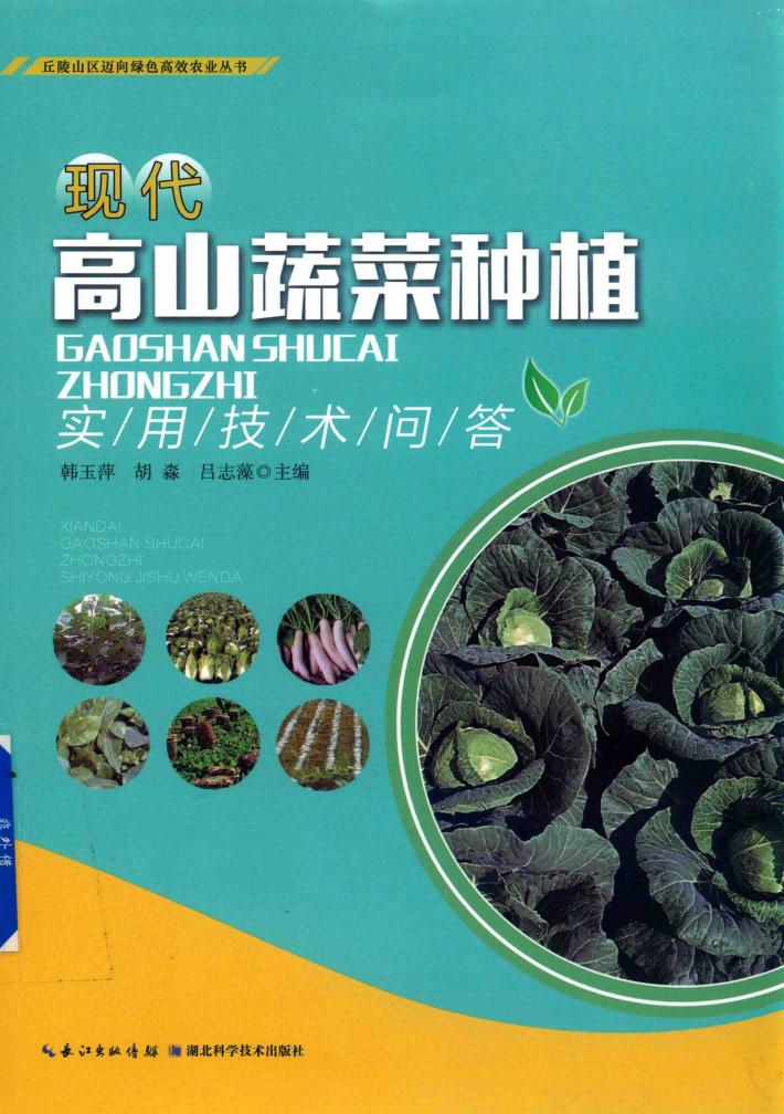 现代高山蔬菜种植实用技术问答 封面