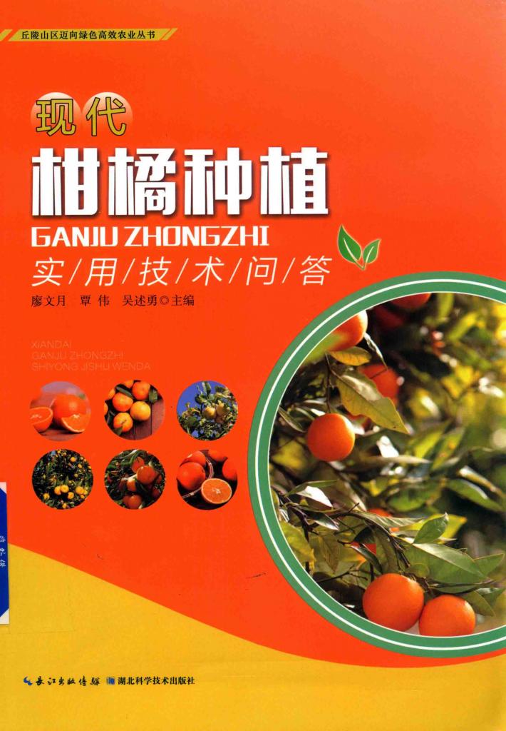 现代柑橘种植实用技术问答 封面