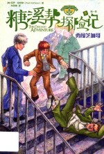 糖溪帮探险记勇闯芝加哥第一季 封面