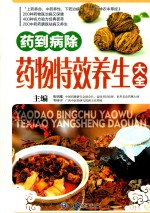药到病除  药物特效养生大全 封面