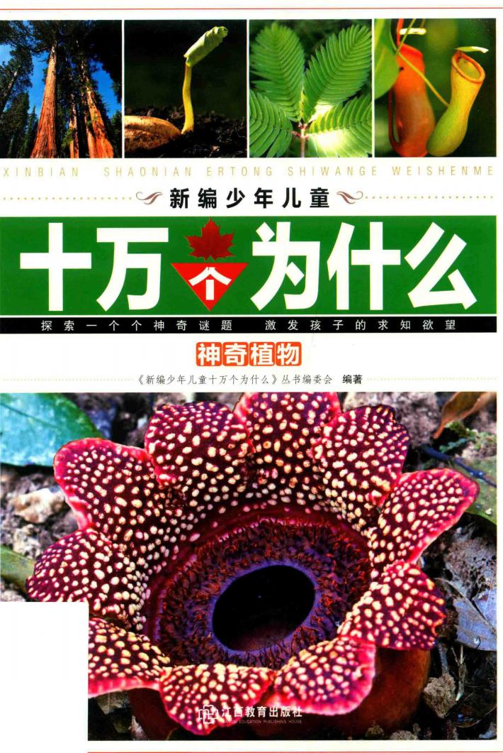 神奇植物