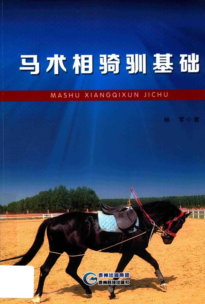 马术相骑驯基础 封面