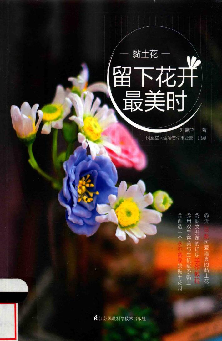 黏土花  留下花开最美时 封面