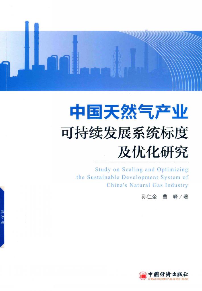 中国天然气产业可持续发展系统标度及优化研究 封面