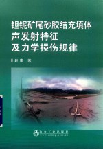 钽铌矿尾砂胶结充填体声发射特征及力学损伤规律 封面