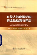 在役大跨度钢结构安全性检测与评定 封面