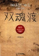 双魂渡 封面