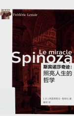 斯宾诺莎奇迹  照亮人生的哲学 封面