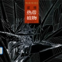 唯美线描精选 封面