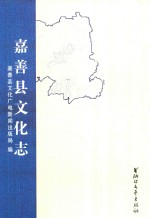 嘉善县文化志 封面