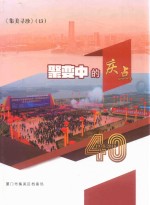 集美寻珍  13  聚变中的庆点 封面