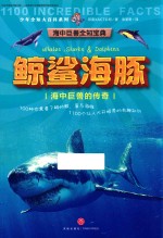 鲸鲨海豚 封面