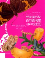 梅里安的蝴蝶手绘图 封面