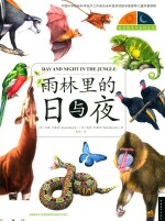 雨林里的日与夜 封面