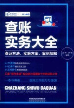 查账实务大全  查证方法、实施方案、案例精解 封面